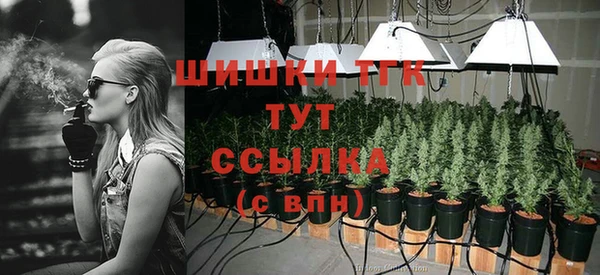 соль ск Абаза