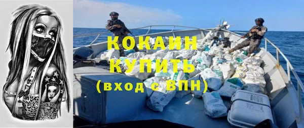 соль ск Абаза