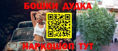шишки Нягань
