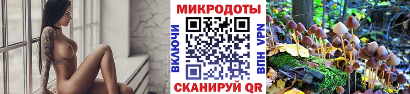 Галлюциногенные грибы Psilocybe Якутск